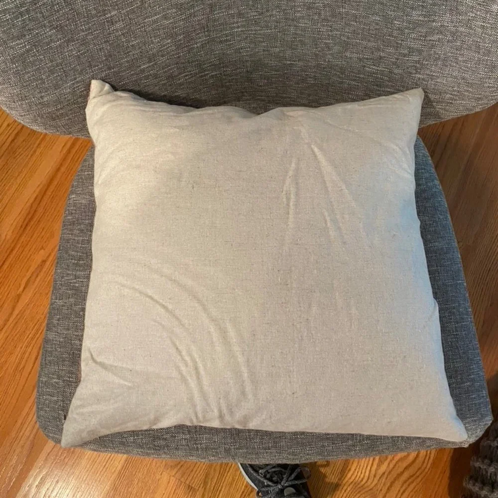 West Elm crushed velvet throw pillow dusty blush